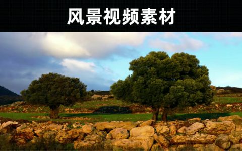 29款-风景视频素材无水印下载
