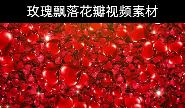 17款-玫瑰飘落花瓣视频素材下载