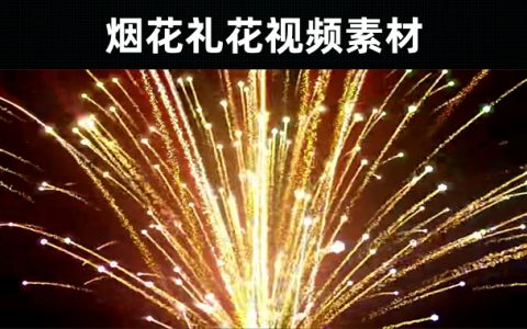 102款-烟花礼花视频素材可下载