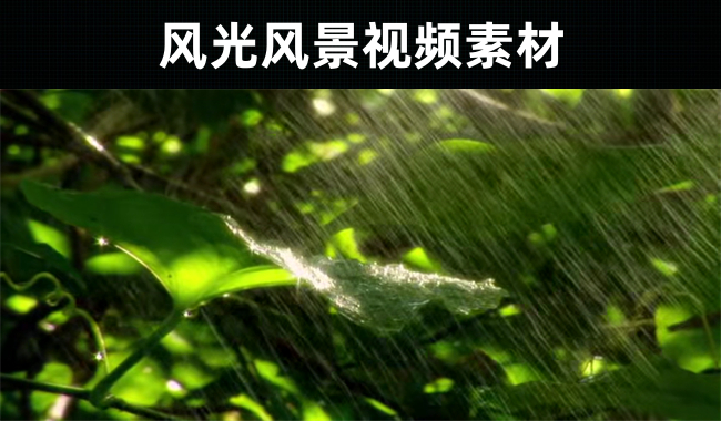 12款-风光风景视频素材下载