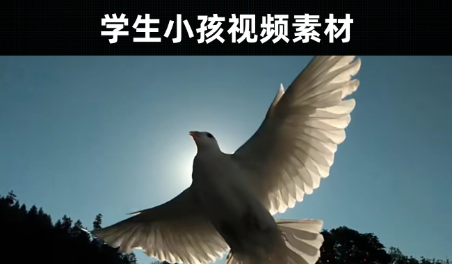 22款-学生小孩视频素材下载