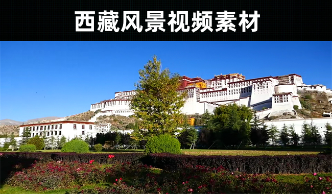 19款-西藏风景视频素材无水印