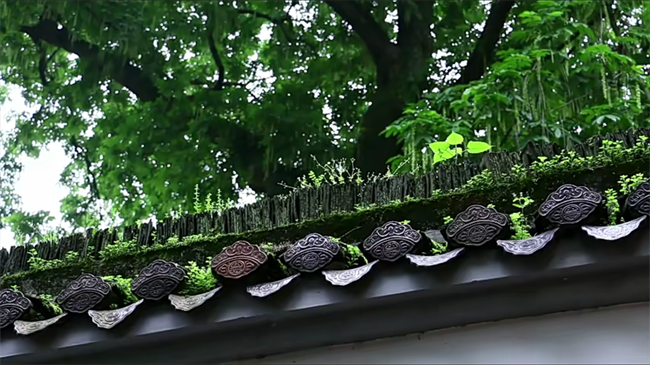 50款-佛像寺庙视频素材大全