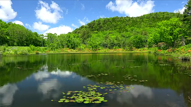 36款-自然风景视频素材无水印