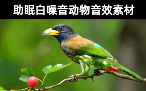 20款-助眠白噪音动物叫声音效素材下载