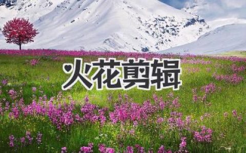 玩转《火花剪辑》：从小白到剪辑大神，你只差这篇教程！