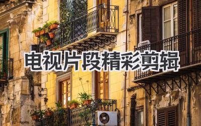 电视片段精彩剪辑