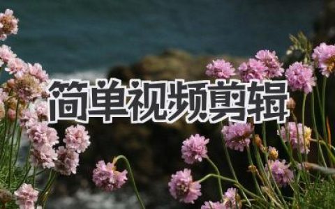 小白也能轻松上手！简单视频剪辑教程，从此告别剪辑小白！