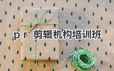 pr剪辑机构培训班