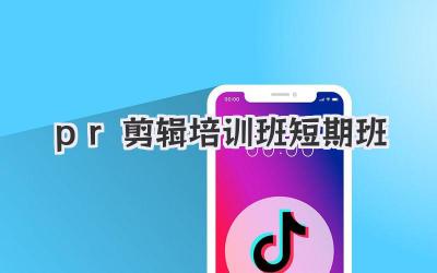 pr剪辑培训班短期班