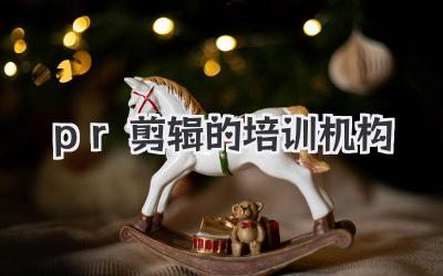 pr剪辑的培训机构