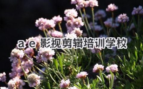 ae影视剪辑培训学校