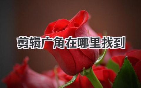 剪辑广角在哪里找到