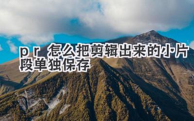 pr怎么把剪辑出来的小片段单独保存