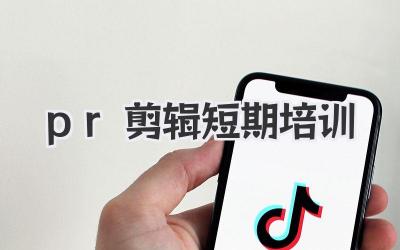 pr剪辑短期培训