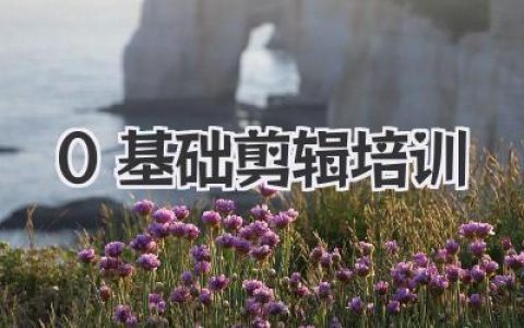 0基础剪辑培训