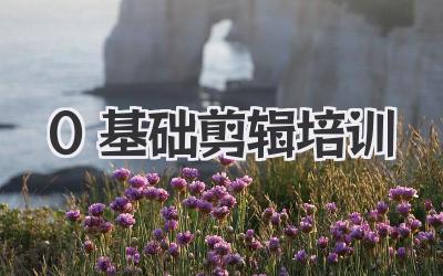 0基础剪辑培训