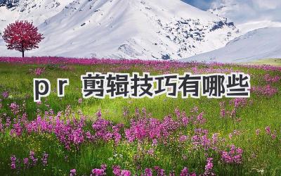 pr剪辑技巧有哪些