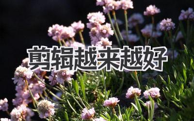 剪辑越来越好