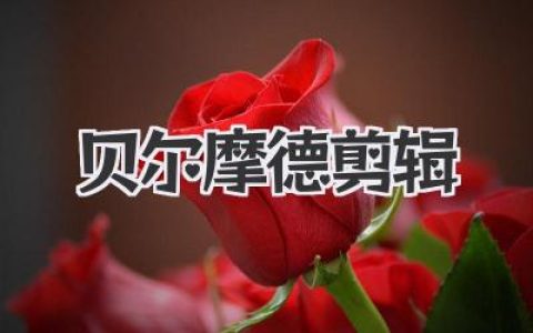 贝尔摩德剪辑？教你玩转柯南剪辑，惊艳全场！