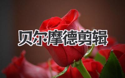 贝尔摩德剪辑