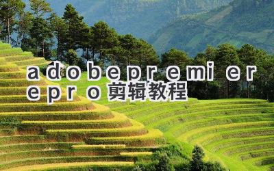 adobepremierepro2020剪辑教程