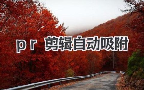 pr剪辑自动吸附