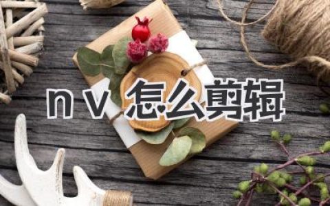 小白也能轻松上手！NVM剪辑技巧大揭秘：教你玩转NVM视频剪辑！
