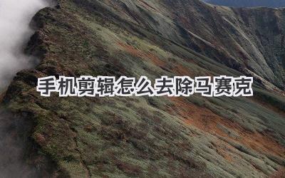手机剪辑怎么去除马赛克