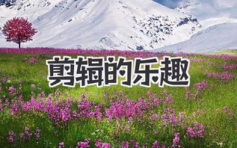 解锁你的影像魔法：玩转剪辑的乐趣