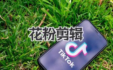 用《花粉剪辑》玩转视频，小白也能变大神！