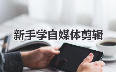 新手学自媒体剪辑