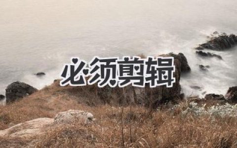 视频剪辑小白的救星！你《必须剪辑》的N个理由和上手秘籍