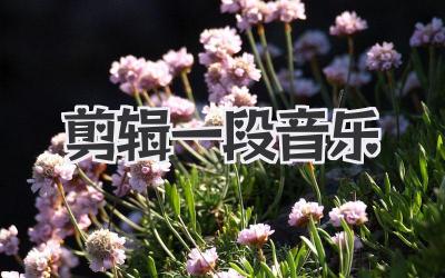 剪辑一段音乐