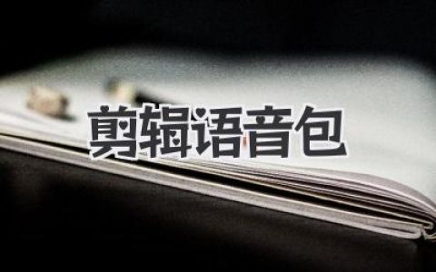 轻松玩转自媒体：剪辑语音包的进阶玩法，让你视频爆火！