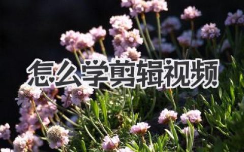 怎么学剪辑视频