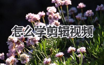 怎么学剪辑视频