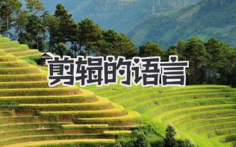 玩转自媒体：解锁《剪辑的语言》的秘密，让你视频爆款！
