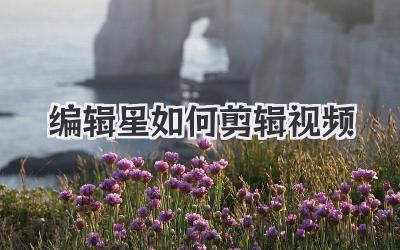 编辑星如何剪辑视频