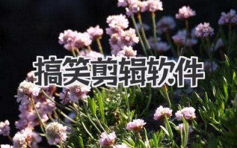 搞笑剪辑软件