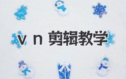 手把手教你玩转VN剪辑：从入门到进阶的VN剪辑教学宝典