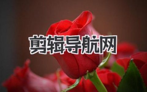 还在愁找不到剪辑资源？快来剪辑导航网，一站式搞定！