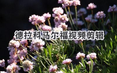 德拉科马尔福视频剪辑