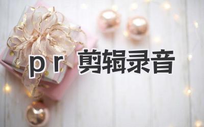 pr剪辑录音