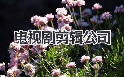 电视剧剪辑公司