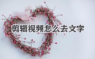 剪辑视频怎么去文字