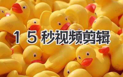 15秒视频剪辑