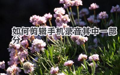 如何剪辑手机录音其中一部分