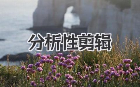 告别平庸！手把手教你玩转《分析性剪辑》，让你的视频瞬间高大上！