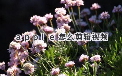 apple怎么剪辑视频